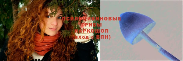 каннабис Ельня